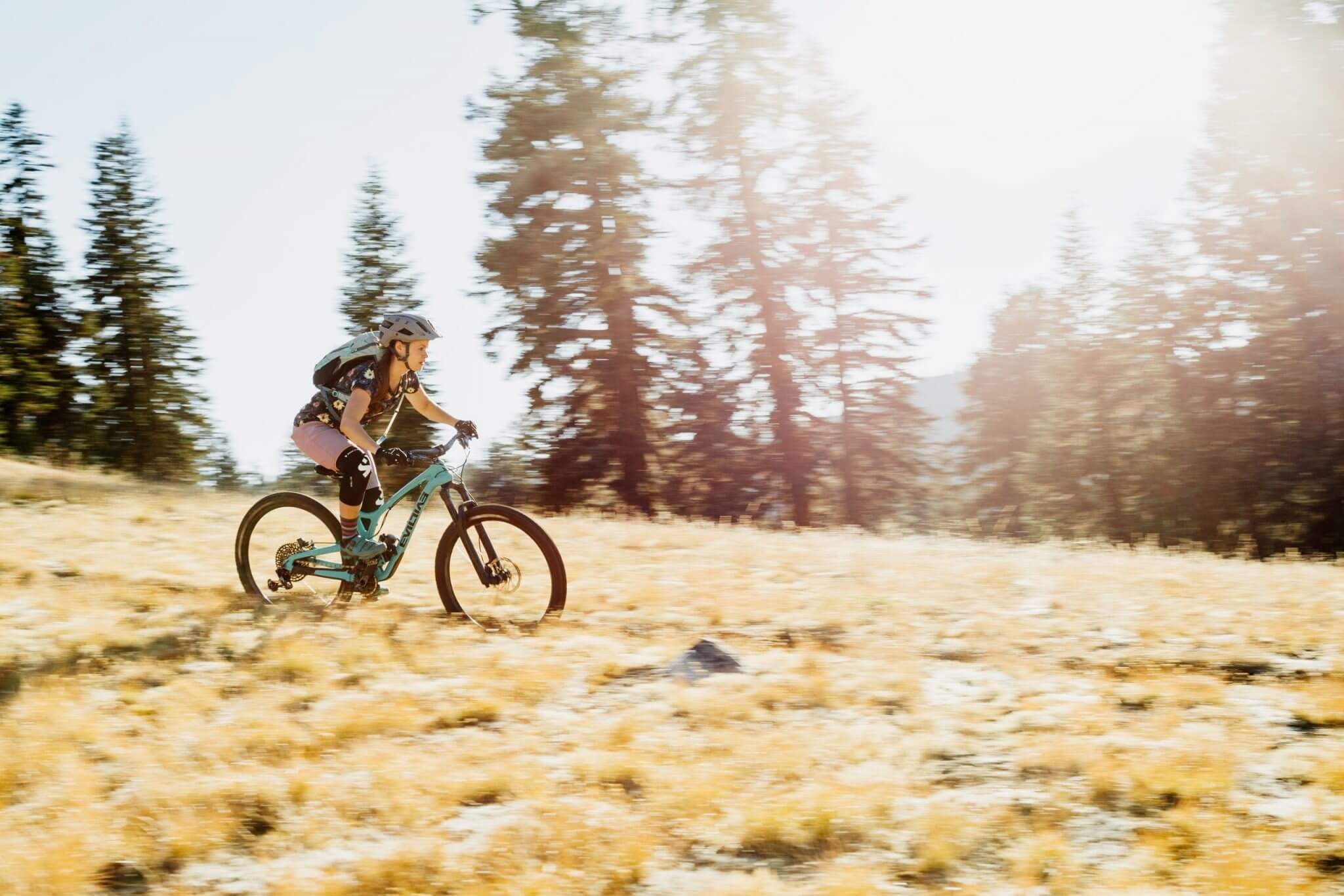 Seattle mountain bike trails ⋆ Best Beginner MTB Trails ⋆ PNWBeyond